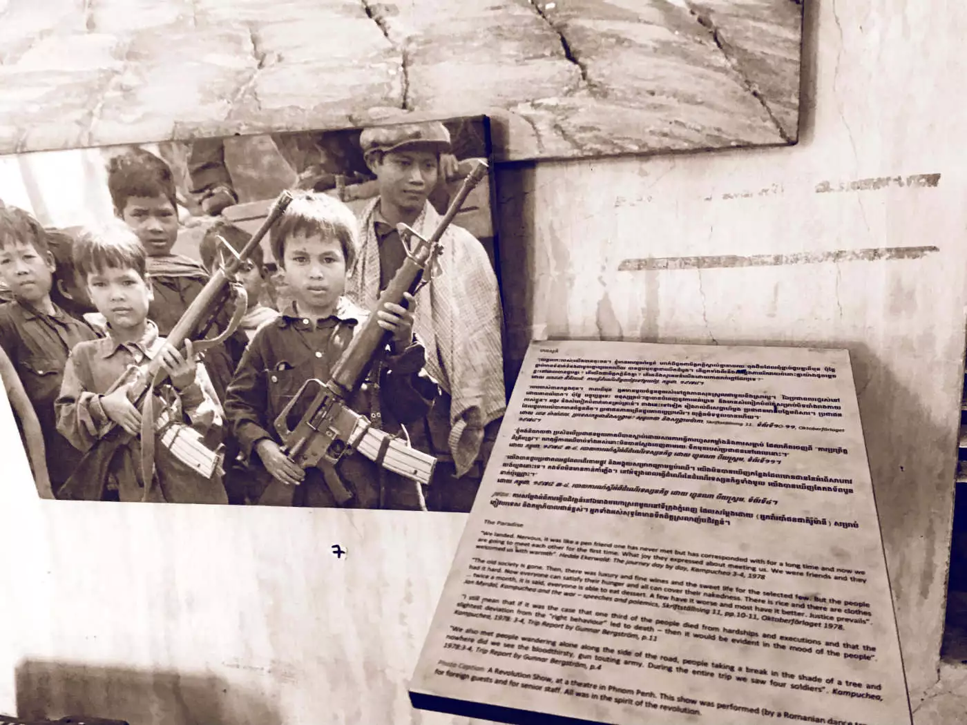 柬埔寨•五月盛放•金边