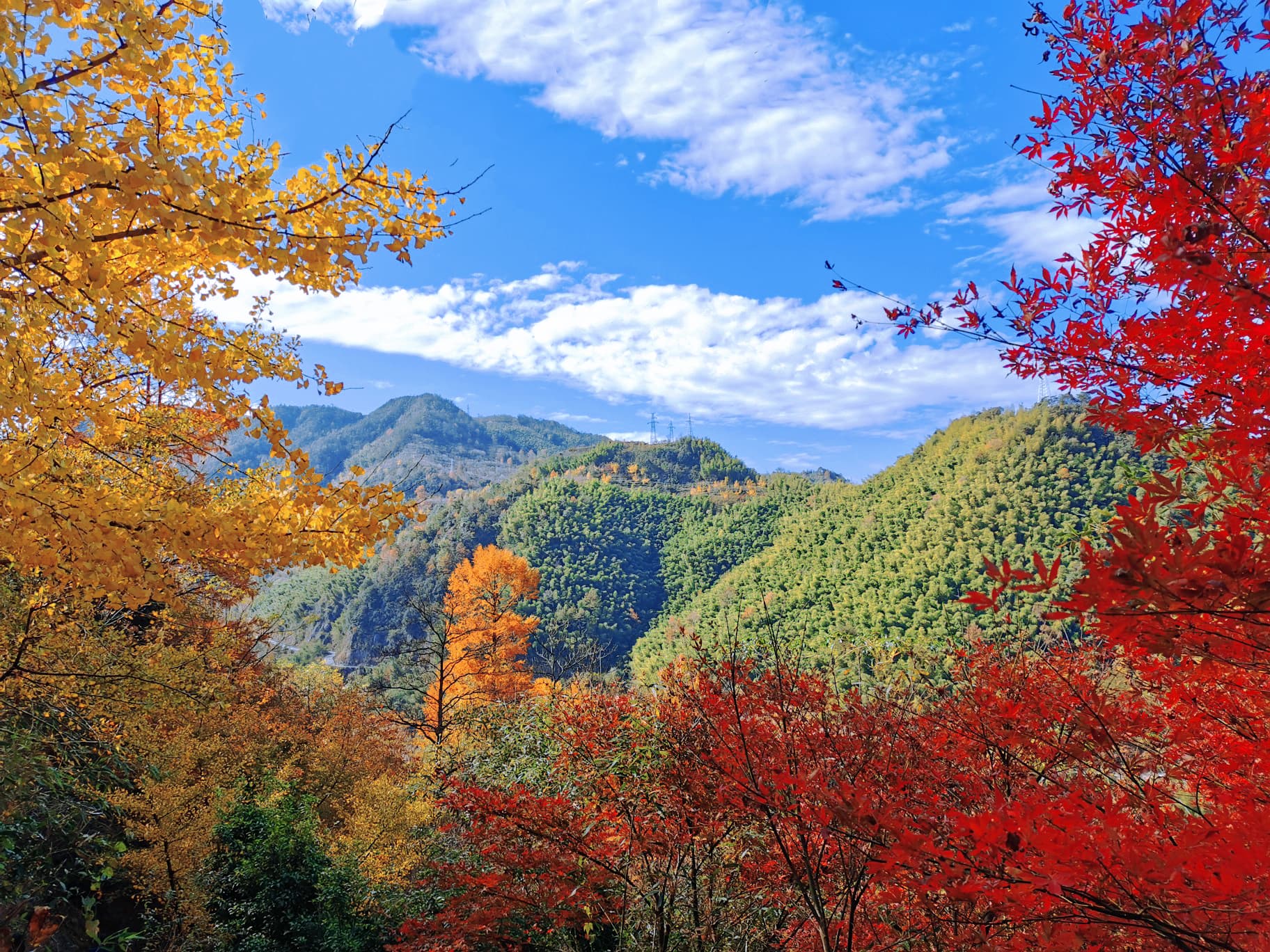 寻秋•四明山水