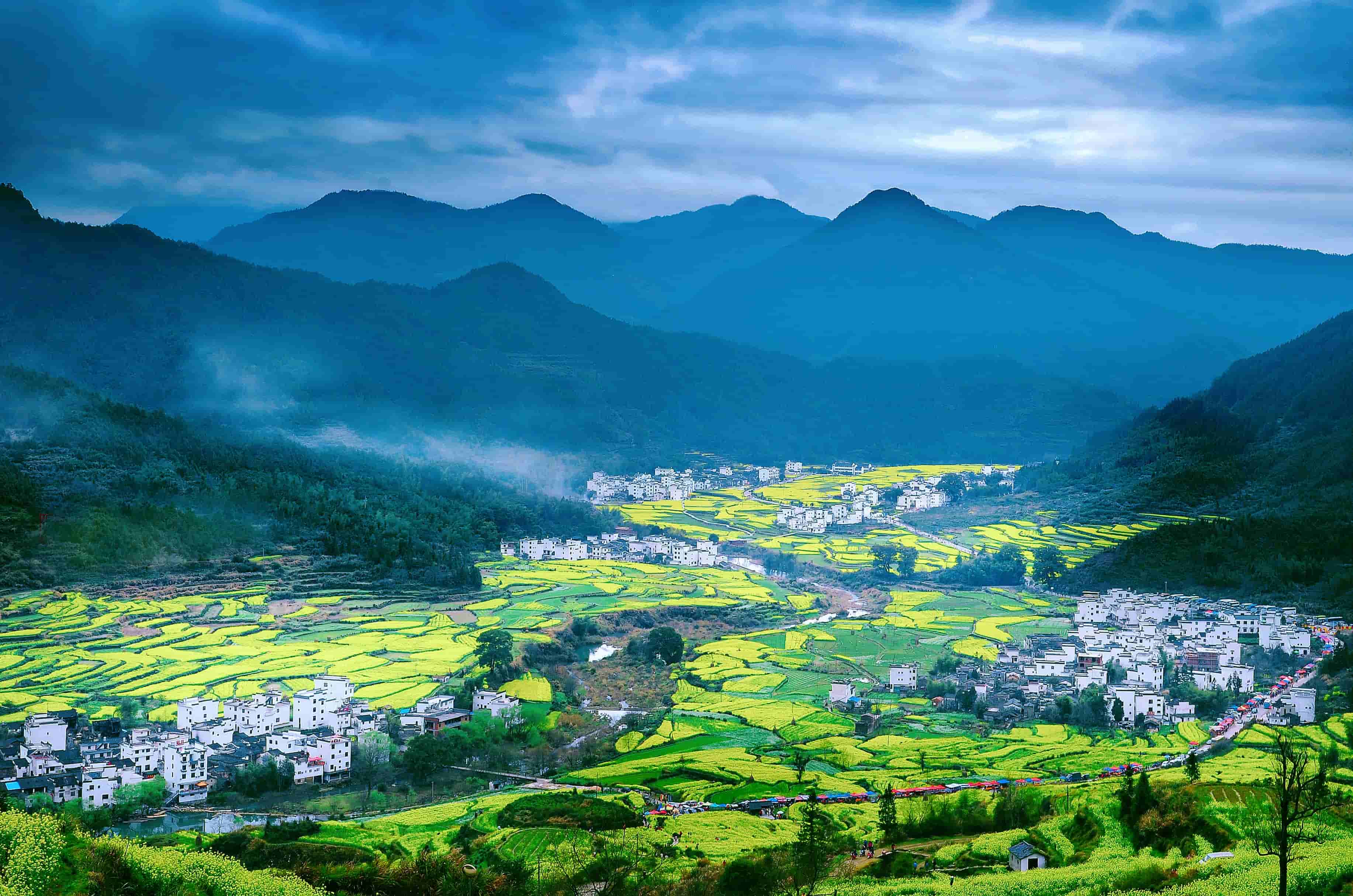 初春•青黄水墨•婺源